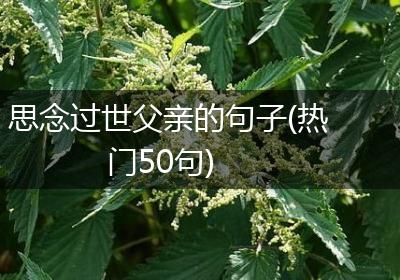 思念过世父亲的句子(热门50句)