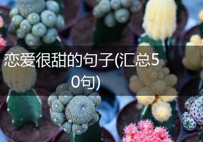恋爱很甜的句子(汇总50句)