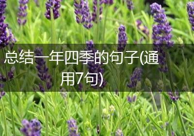总结一年四季的句子(通用7句)