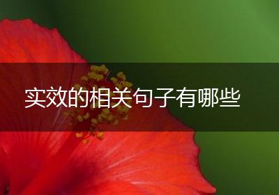 实效的相关句子有哪些