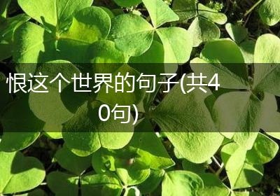 恨这个世界的句子(共40句)