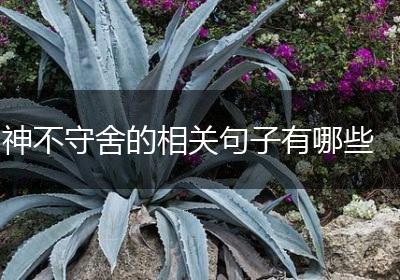 神不守舍的相关句子有哪些