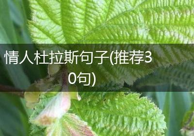 情人杜拉斯句子(推荐30句)