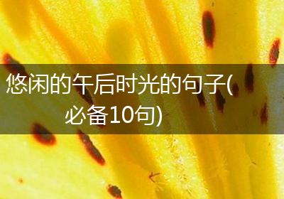 悠闲的午后时光的句子(必备10句)