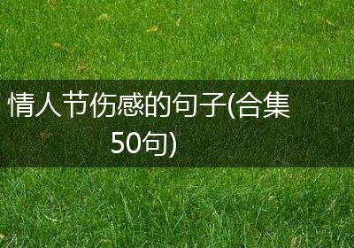 情人节伤感的句子(合集50句)