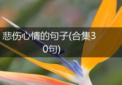 悲伤心情的句子(合集30句)