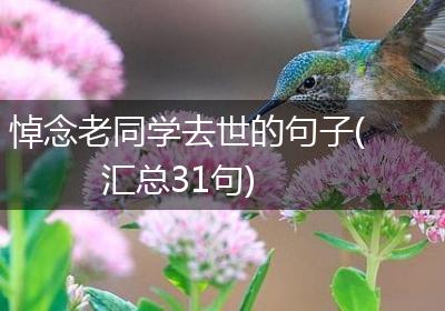 悼念老同学去世的句子(汇总31句)