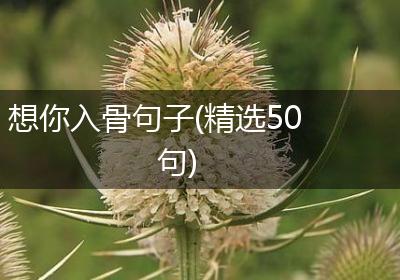 想你入骨句子(精选50句)