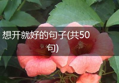想开就好的句子(共50句)