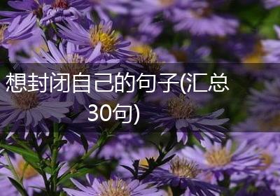 想封闭自己的句子(汇总30句)