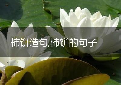 柿饼造句,柿饼的句子