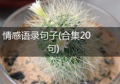 情感语录句子(合集20句)