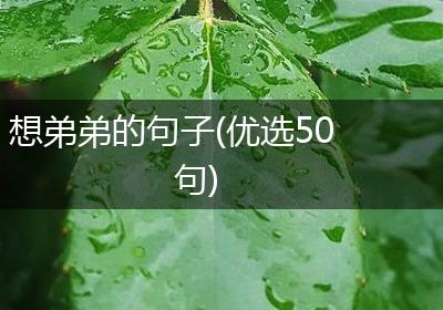 想弟弟的句子(优选50句)
