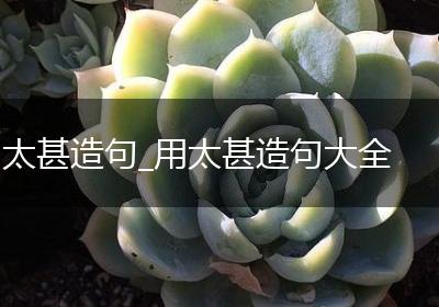 太甚造句_用太甚造句大全