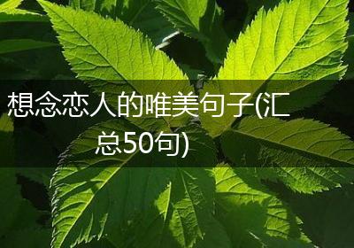 想念恋人的唯美句子(汇总50句)