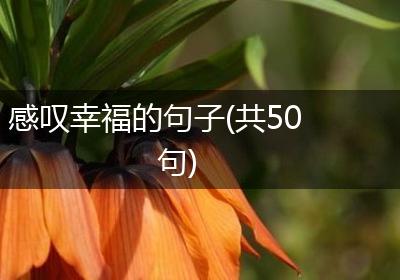 感叹幸福的句子(共50句)