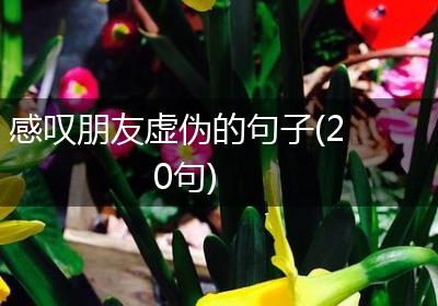 感叹朋友虚伪的句子(20句)
