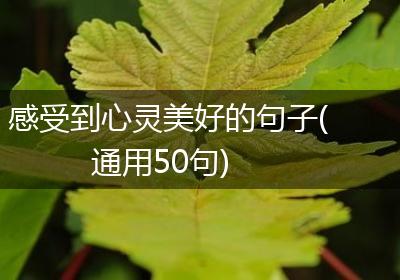 感受到心灵美好的句子(通用50句)
