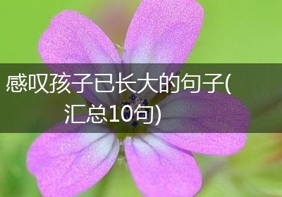 感叹孩子已长大的句子(汇总10句)