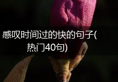感叹时间过的快的句子(热门40句)