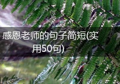 感恩老师的句子简短(实用50句)