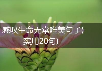感叹生命无常唯美句子(实用20句)