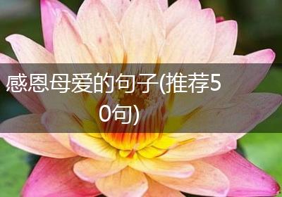 感恩母爱的句子(推荐50句)