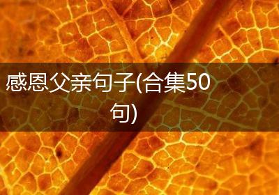 感恩父亲句子(合集50句)