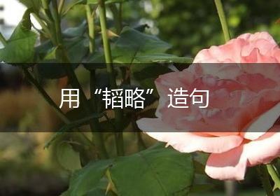 用“韬略”造句