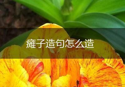 瘫子造句怎么造