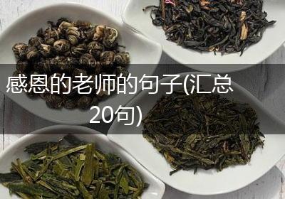 感恩的老师的句子(汇总20句)