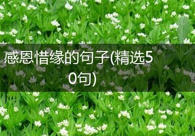 感恩惜缘的句子(精选50句)