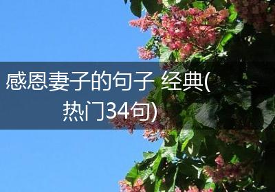 感恩妻子的句子 经典(热门34句)