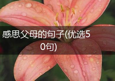 感思父母的句子(优选50句)