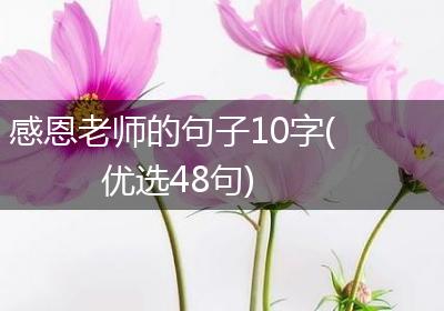感恩老师的句子10字(优选48句)