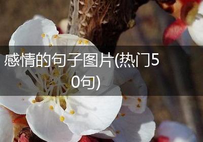感情的句子图片(热门50句)