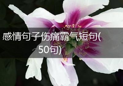 感情句子伤痛霸气短句(50句)
