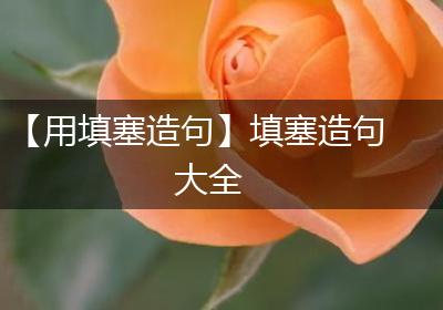 【用填塞造句】填塞造句大全