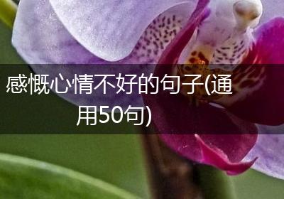 感慨心情不好的句子(通用50句)