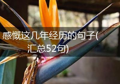 感慨这几年经历的句子(汇总52句)