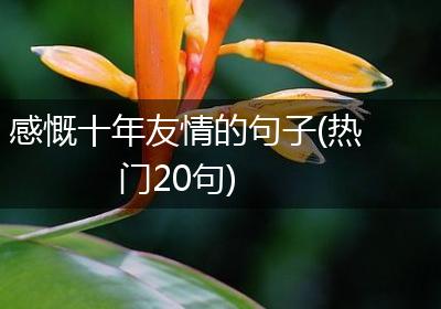 感慨十年友情的句子(热门20句)