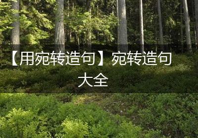 【用宛转造句】宛转造句大全