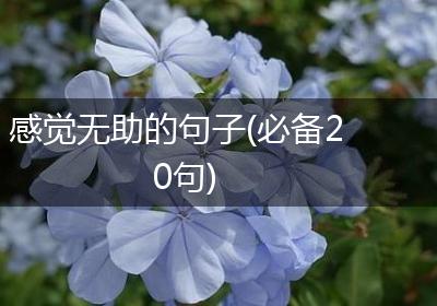 感觉无助的句子(必备20句)