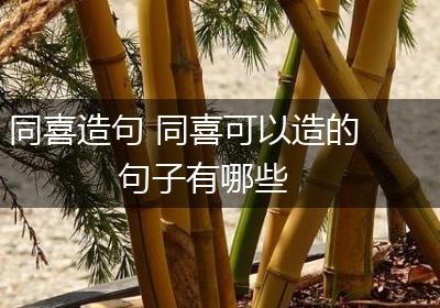 同喜造句 同喜可以造的句子有哪些
