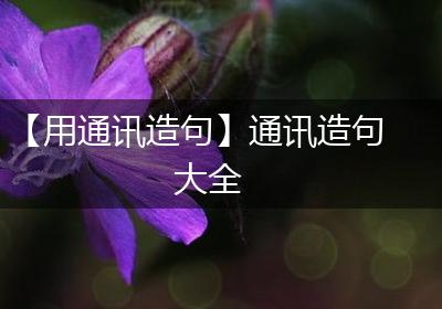 【用通讯造句】通讯造句大全