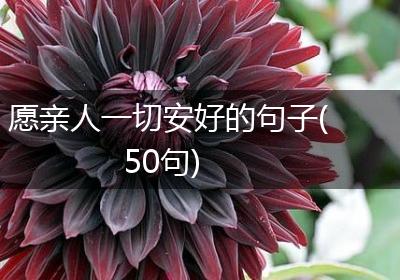 愿亲人一切安好的句子(50句)