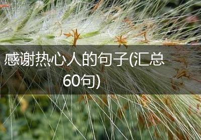 感谢热心人的句子(汇总60句)