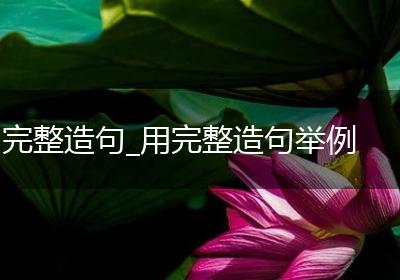 完整造句_用完整造句举例