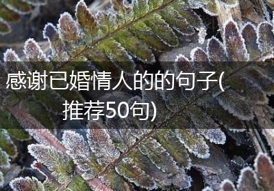感谢已婚情人的的句子(推荐50句)