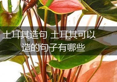 土耳其造句 土耳其可以造的句子有哪些